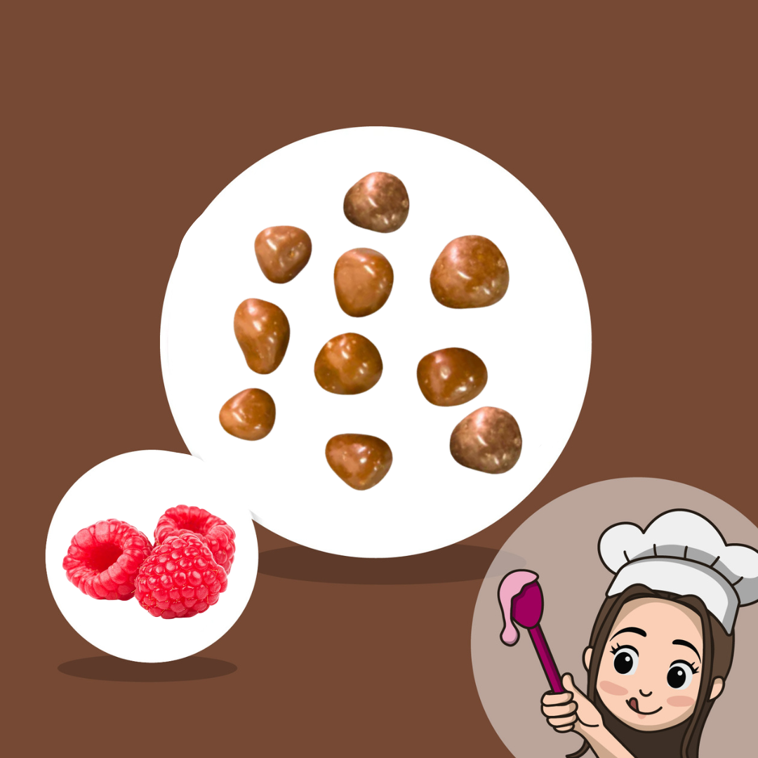 Lia's Gefriergetrocknete Schoko-Himbeeren - Vollmilch